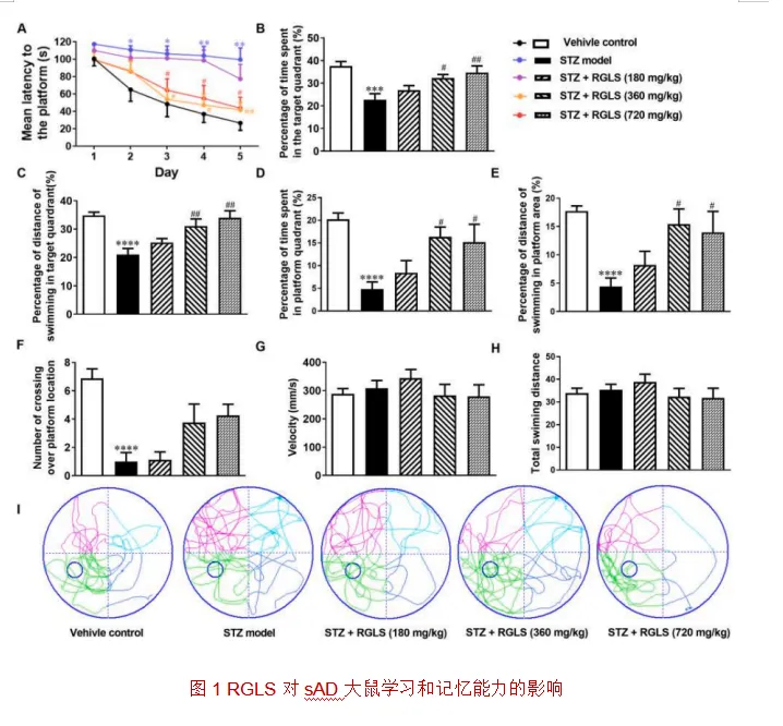 浙江尊龙凯时人生就是博医药股份有限公司